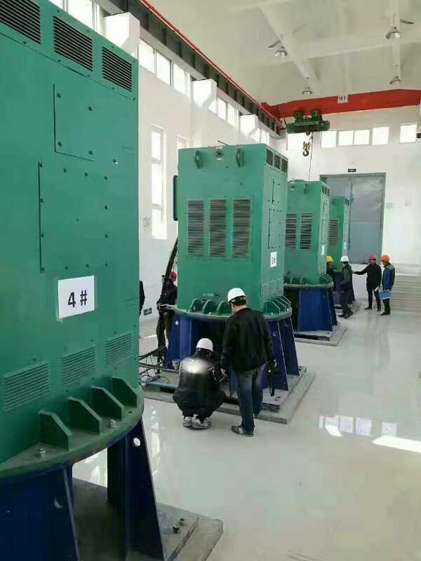 钢城某污水处理厂使用我厂的立式高压电机安装现场