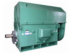 钢城Y系列6KV高压电机